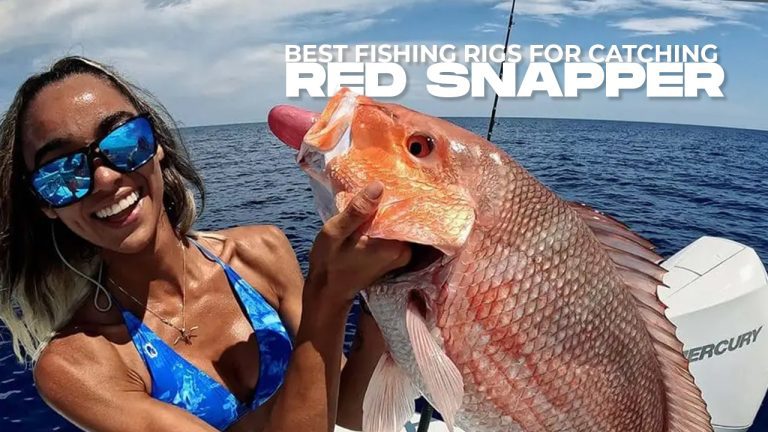 Best Fishing Rigs for Catching Red Snapper