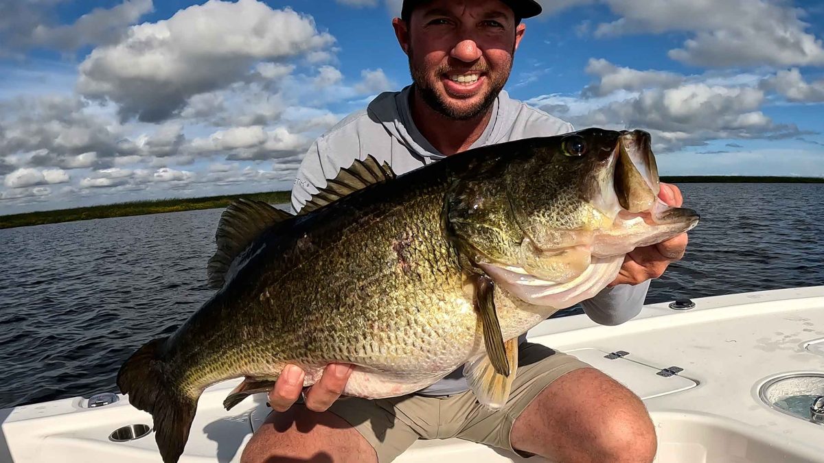 Catching Largemouth Bass in Lake Okeechobee Florida