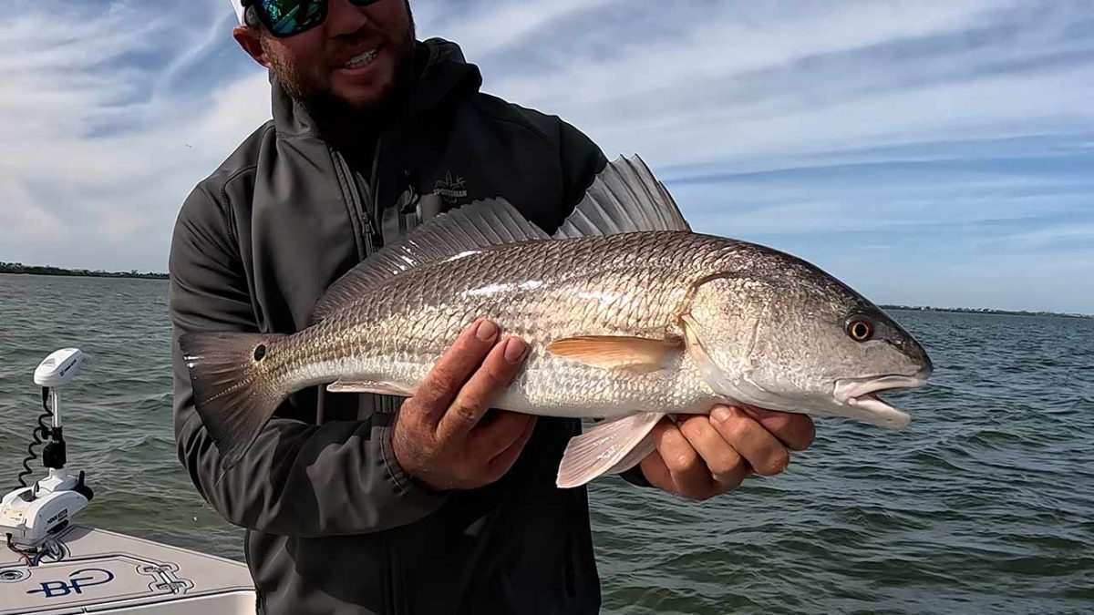 Nanghuhuli ng Redfish pagkatapos ng Cold Front Florida Fishing