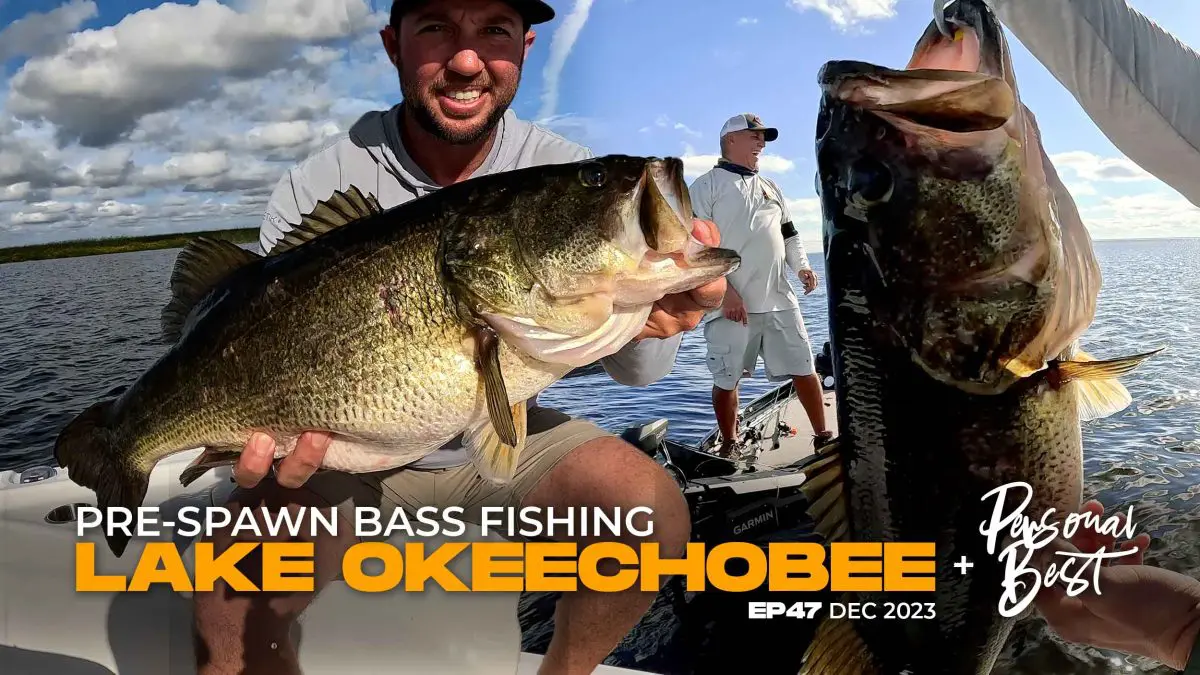 Lake Okeechobee Bass Fishing Catching Winter Pre-Spawn Largemouth Bass