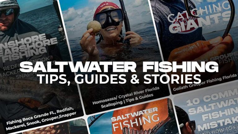 Saltwater Fishing Stories