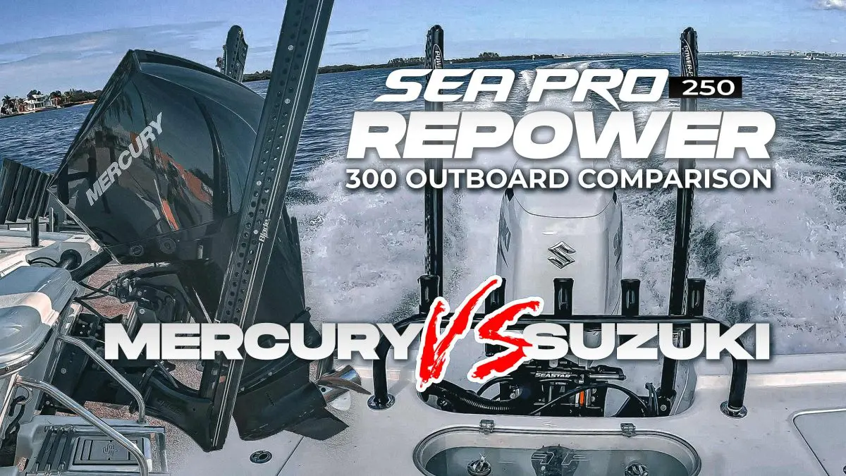 Comparaison Mercury vs Suzuki 300