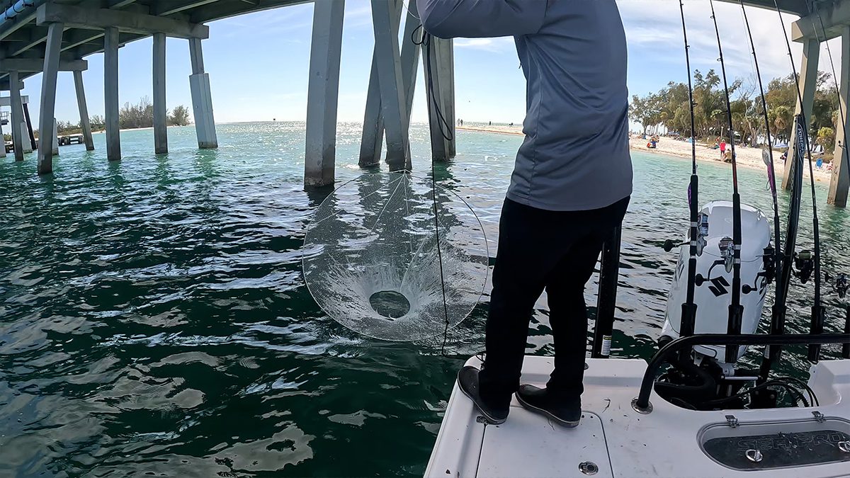 Catching Live Bait with Ballyhoop Collapsible Nets