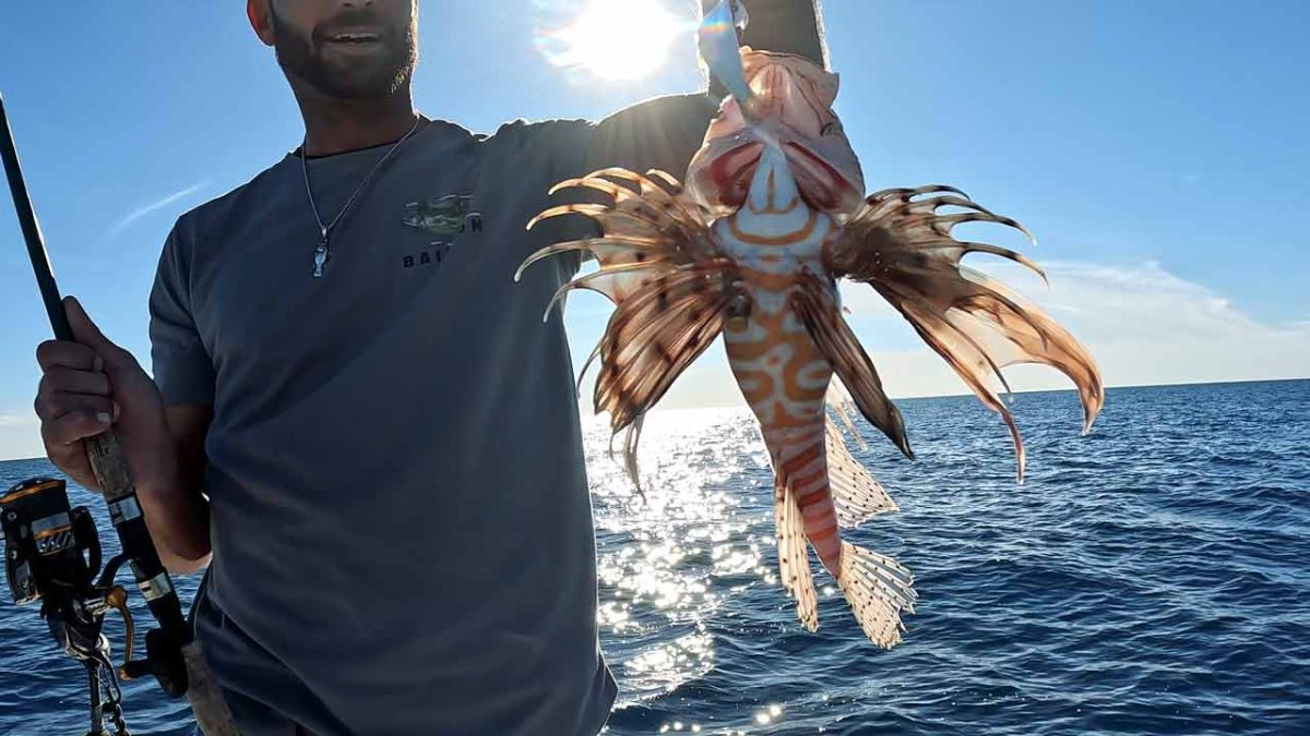 Catching Lionfish on Rod and Reel