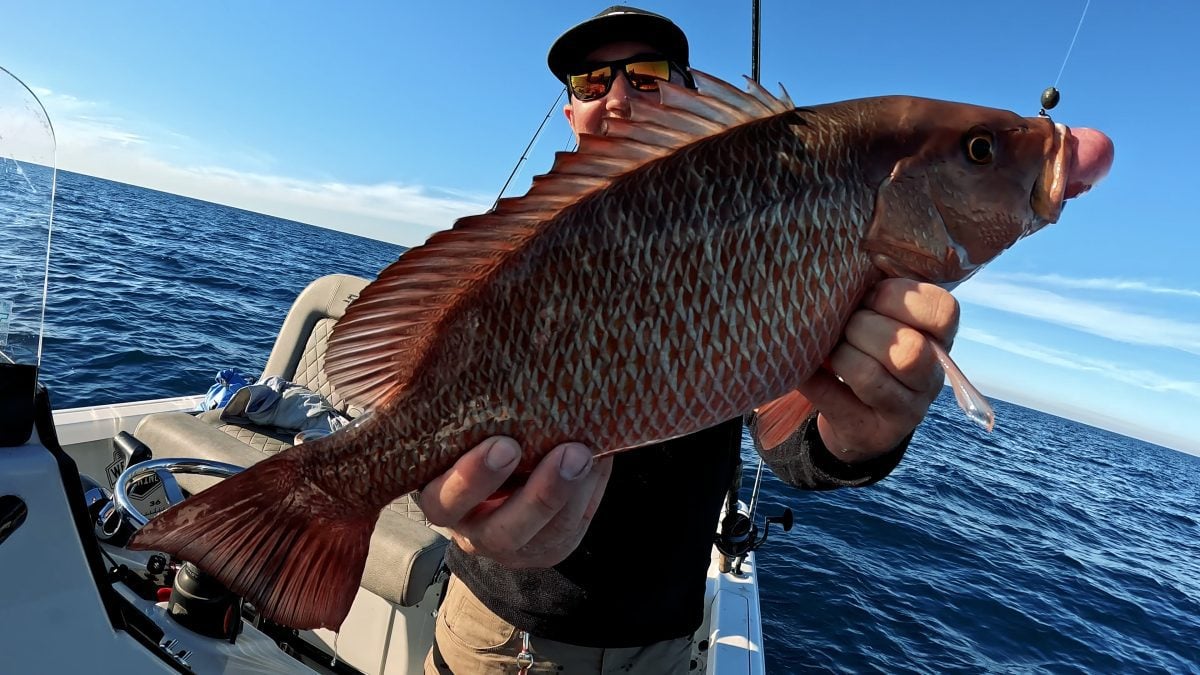 Catching Snapper in the Gulf of Mexico