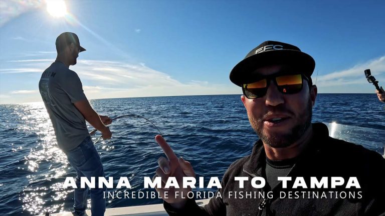 Cartas de pesca Anna Maria a Tampa Florida