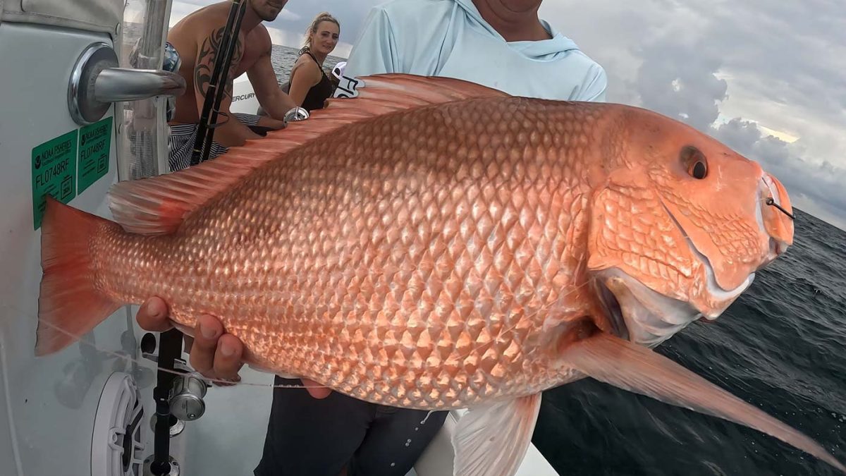 Pesca de pargo vermelho americano no mar da Flórida