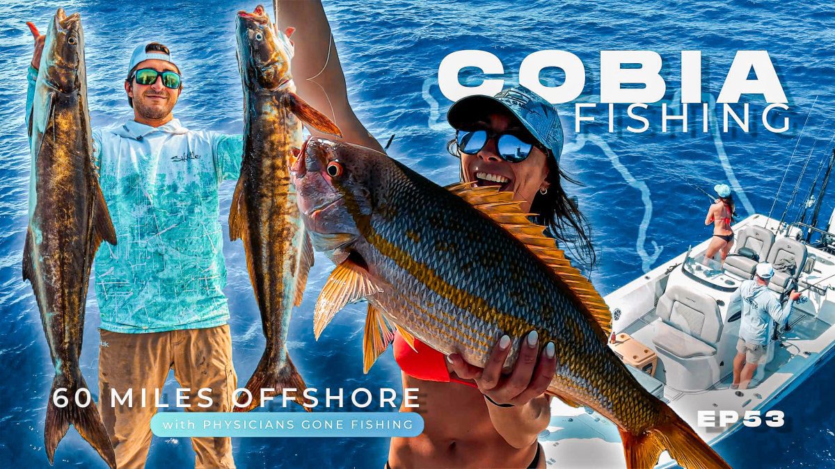 Pesca Offshore Cobia Tampa Flórida