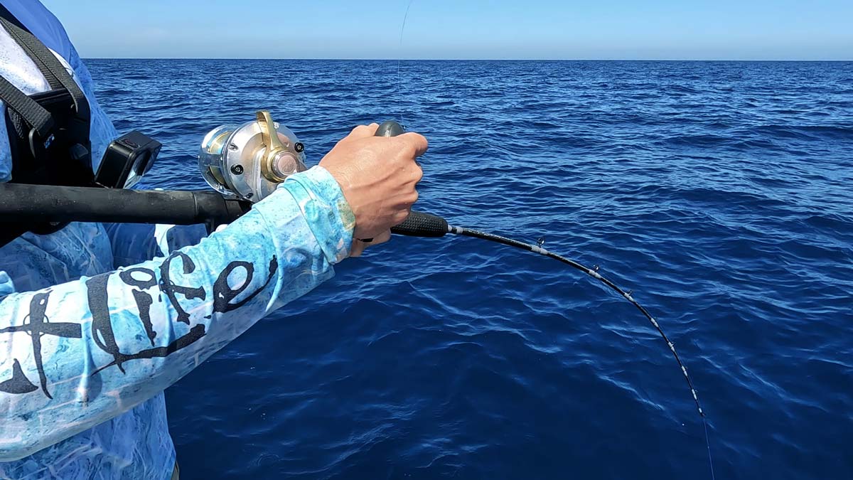 offshore saltwater fishing tampa florida ep53