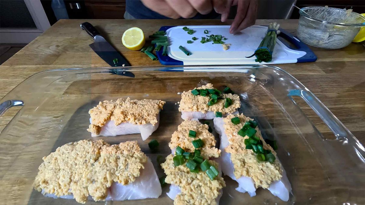 parmesan crusted red grouper catch and cook