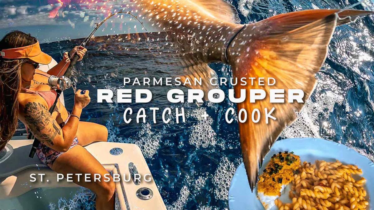 Pesca de garoupa vermelha na costa da Flórida, captura e cozimento