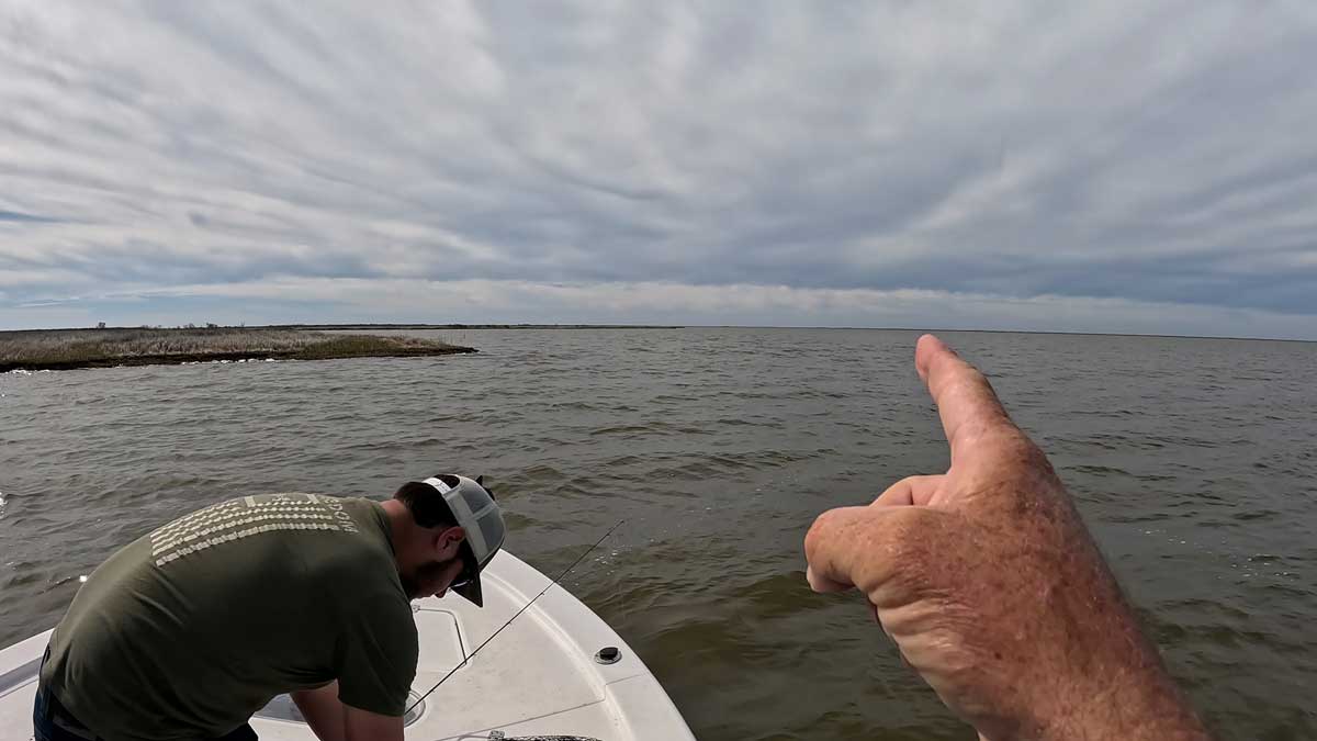 Dónde pescar Sheepshead en el Golfo de México