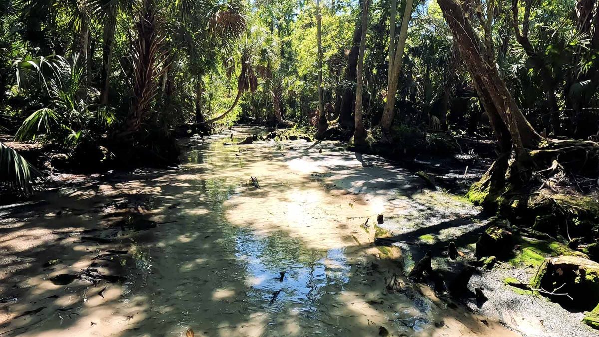 suối nước hẻo lánh homosassa Florida