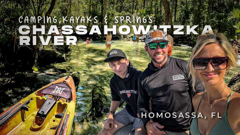 chassahowitzka river kayaking and springs