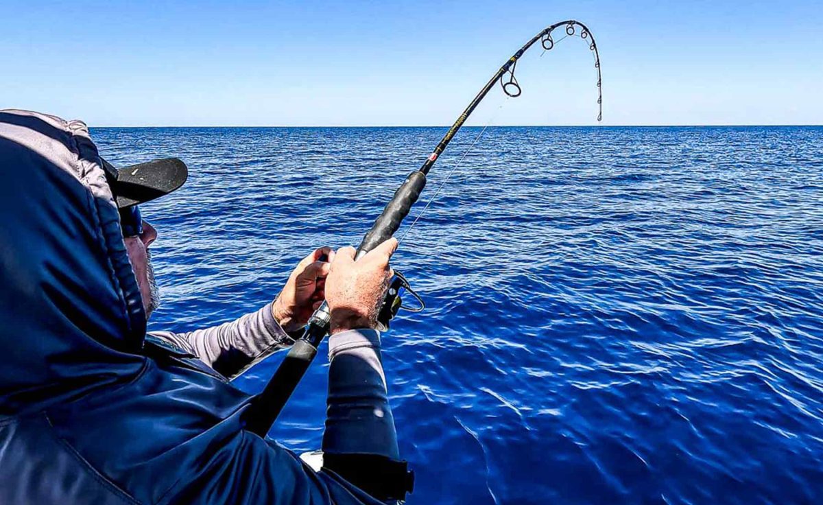 pêche hauturière sarasota floride avril 2024