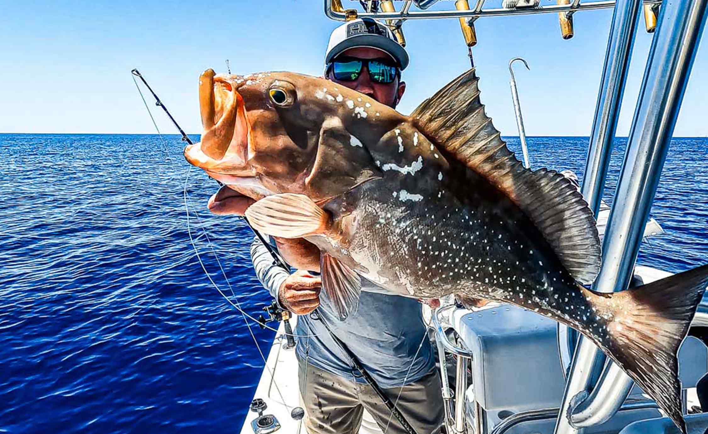 attraper un gros mérou rouge de Floride 2024 pêche au large