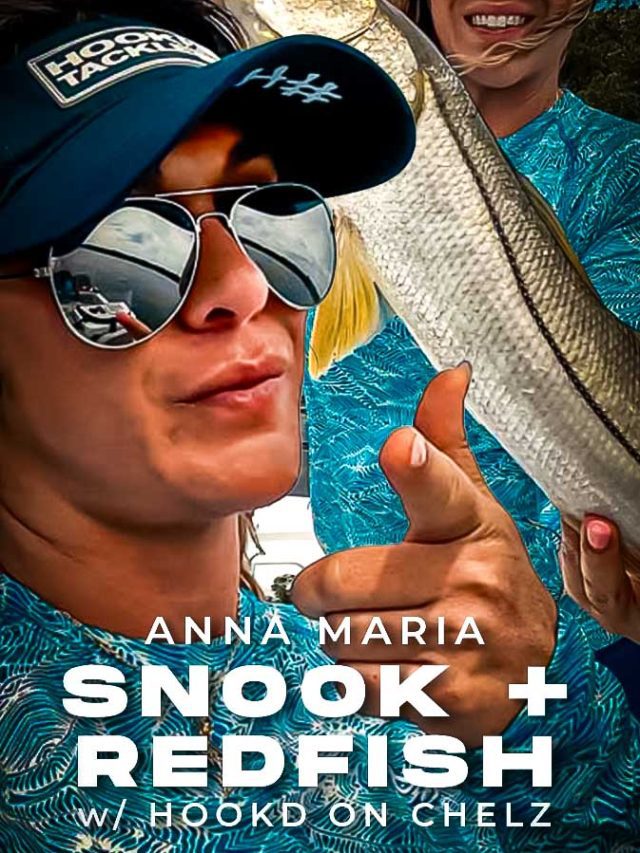 Anna Maria Island Inshore Fishing Snook + Rotbarsch 2024