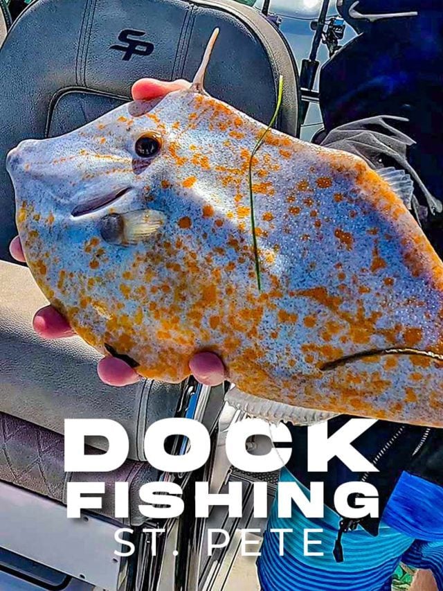 Quai de pêche et d'étiquetage St Petersburg Floride