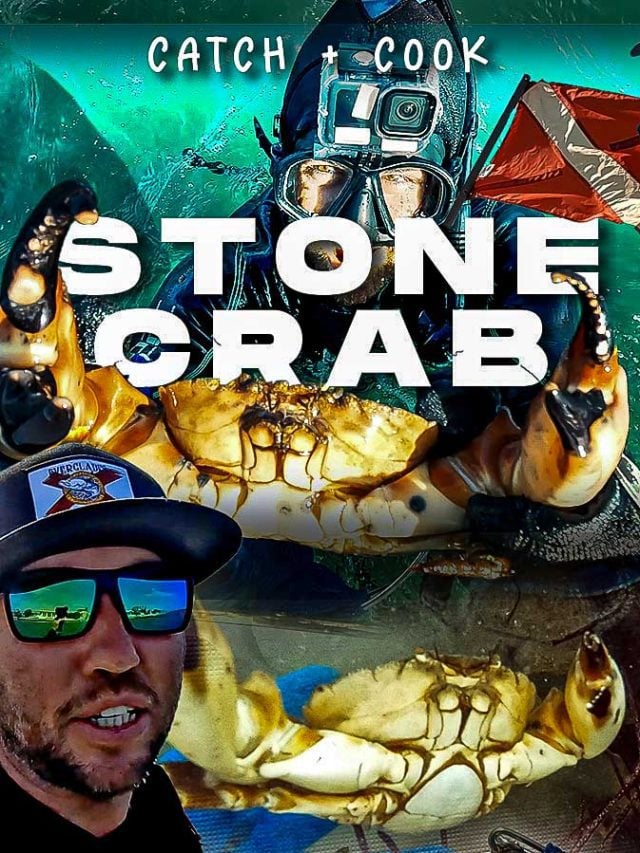 Crabe pierre de plongée en apnée en Floride Attraper et cuisiner