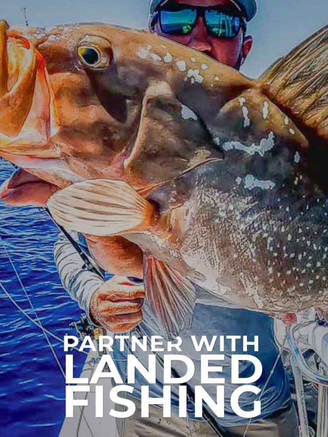 Partner with Landed Fishing