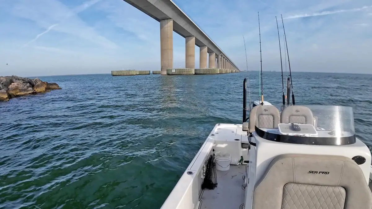 Cầu Skyway câu cá ven bờ SeaPro 250 Tampa