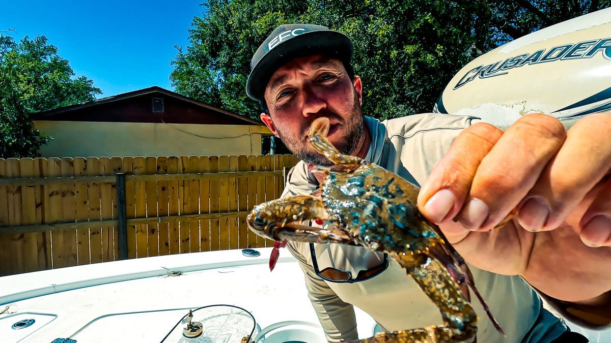 Conseils pour la pêche en eau salée attraper des crabes à marée descendante Sarasota Floride 14