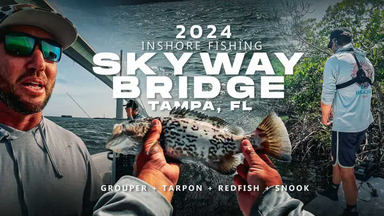 Pesca em Tampa da Ponte Skyway