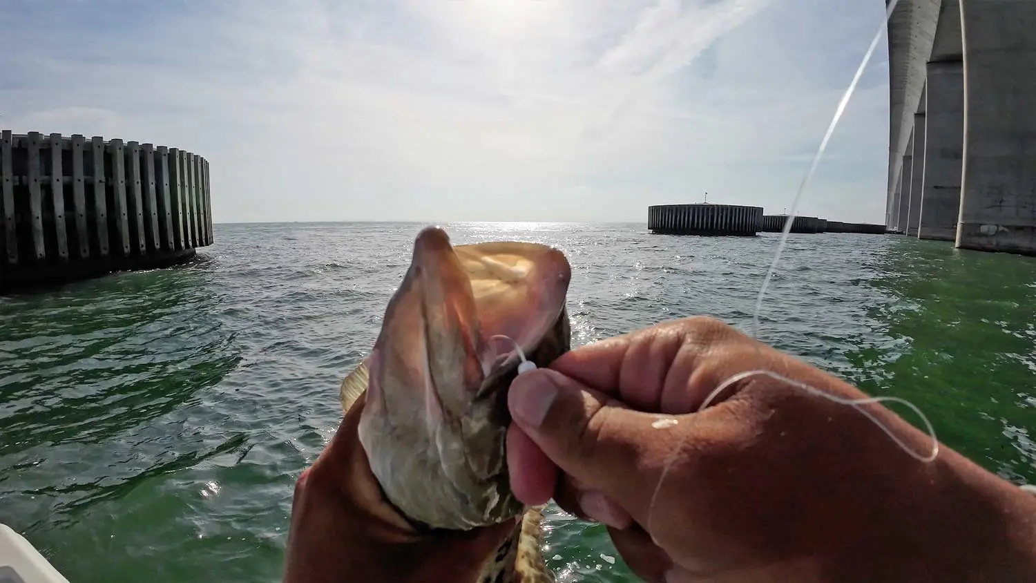 Spots de pêche Skyway Tampa Bay en Floride
