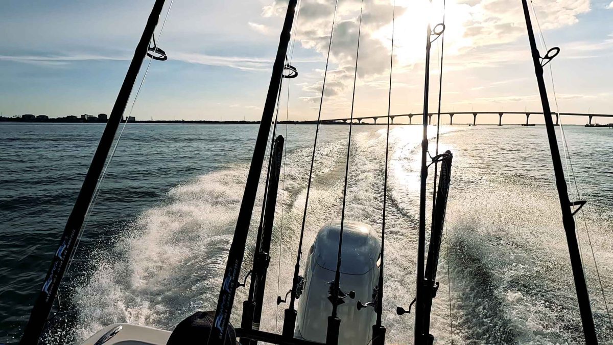 Video de pesca de paso lento en Tampa 2024