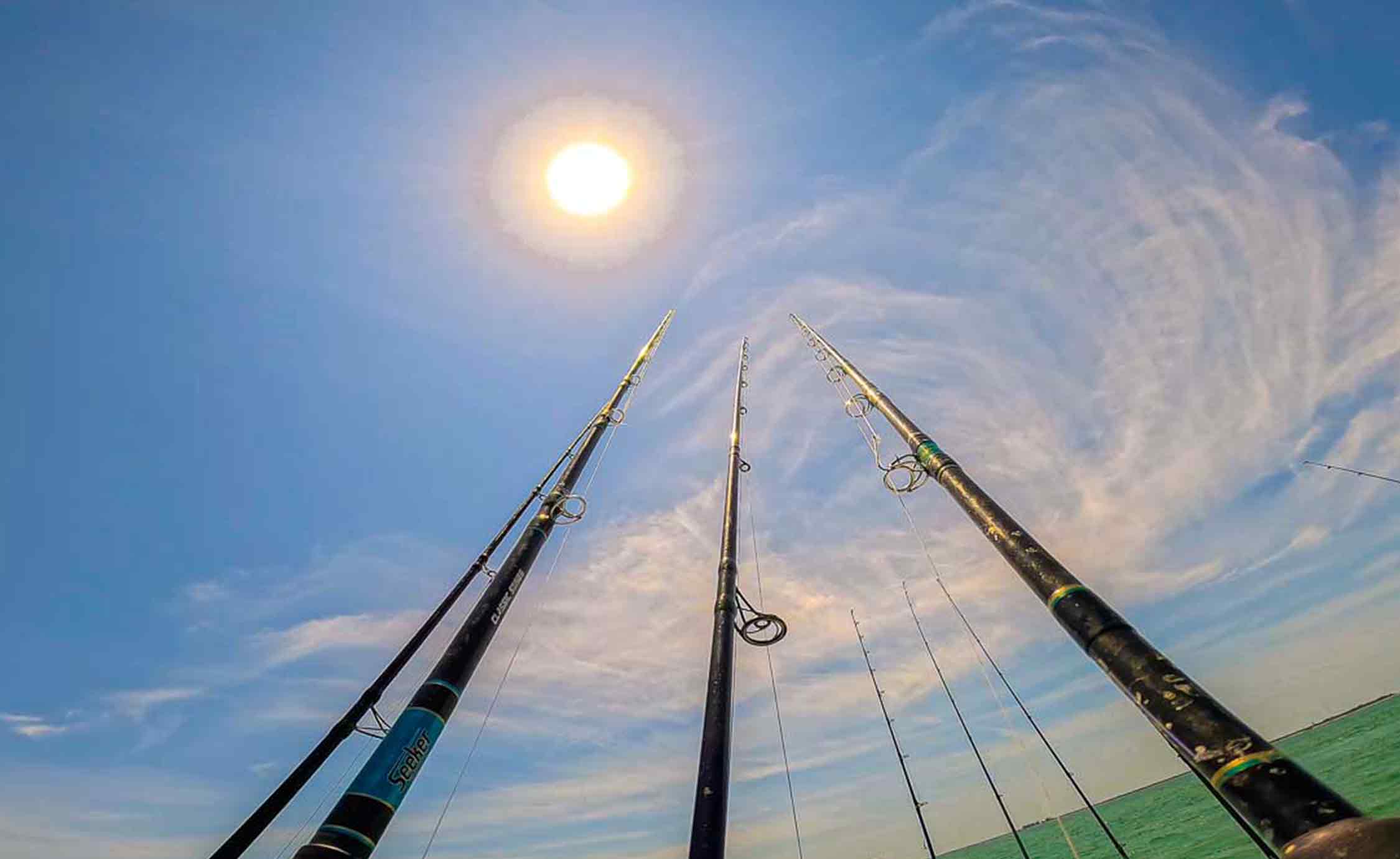 タンパ フロリダ州 釣り ニアショア 釣り竿 太陽の光