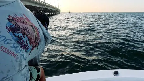 フロリダ州タンパの豚部隊の釣り