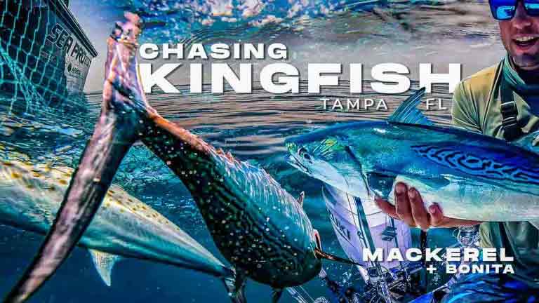 Kingfish Fishing Tampa Florida kasama ang Hog Squad Fishing