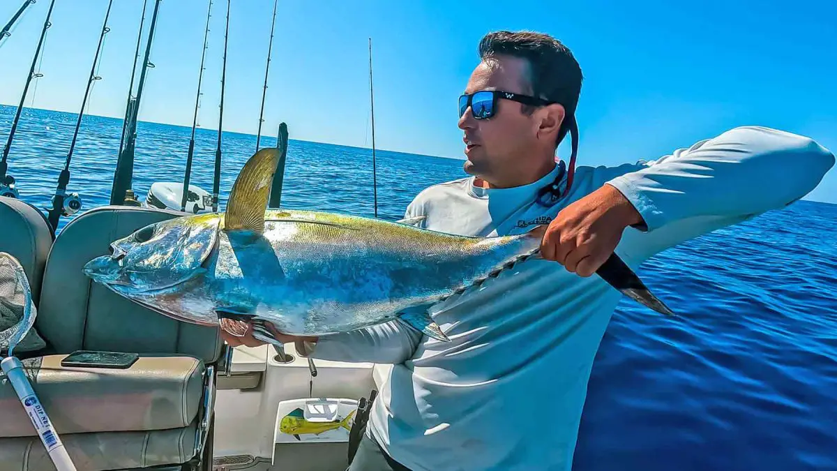 blackfin tuna fishing tampa florida offshore