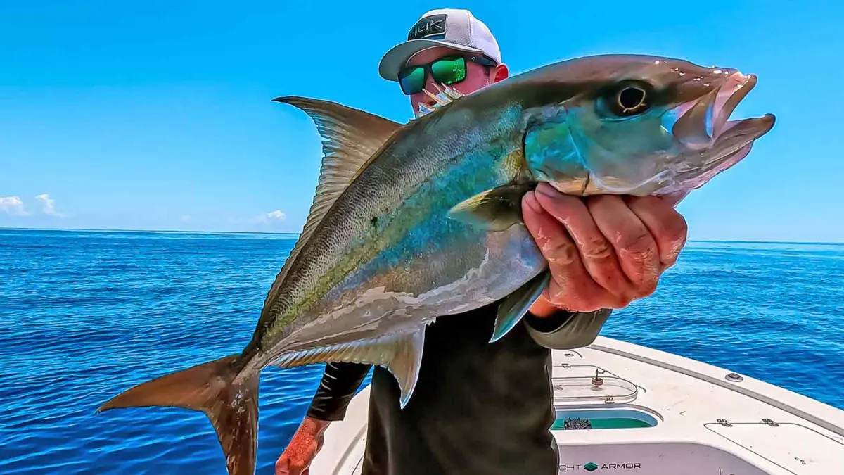 La captura de medregal en el Golfo de México, Tampa, Florida, pesca en alta mar