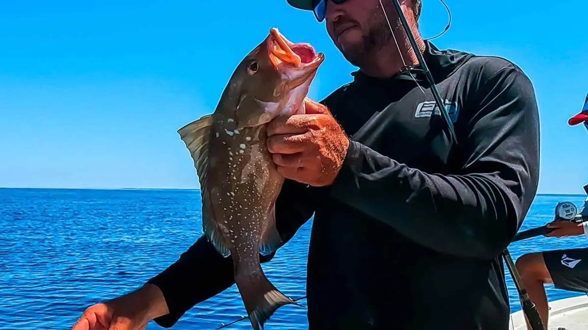La captura del mero rojo pesca en alta mar de Tampa, Florida, el capitán Randall