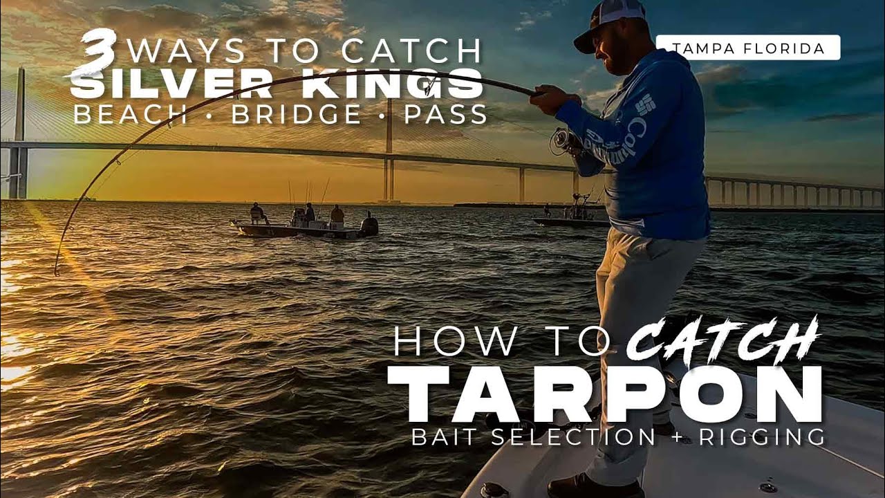 how to catch tarpon in tampa flo