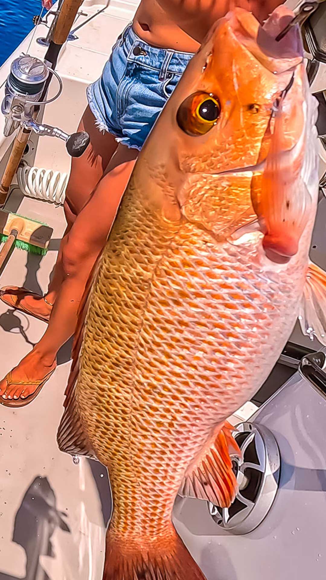 メキシコ湾でのオフショア釣りガイド |