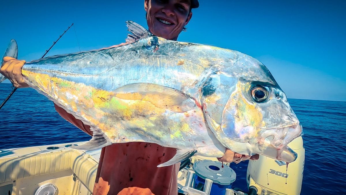 tampa florida offshore fishing yellowtail snapper african pompano reel lucky charters 16