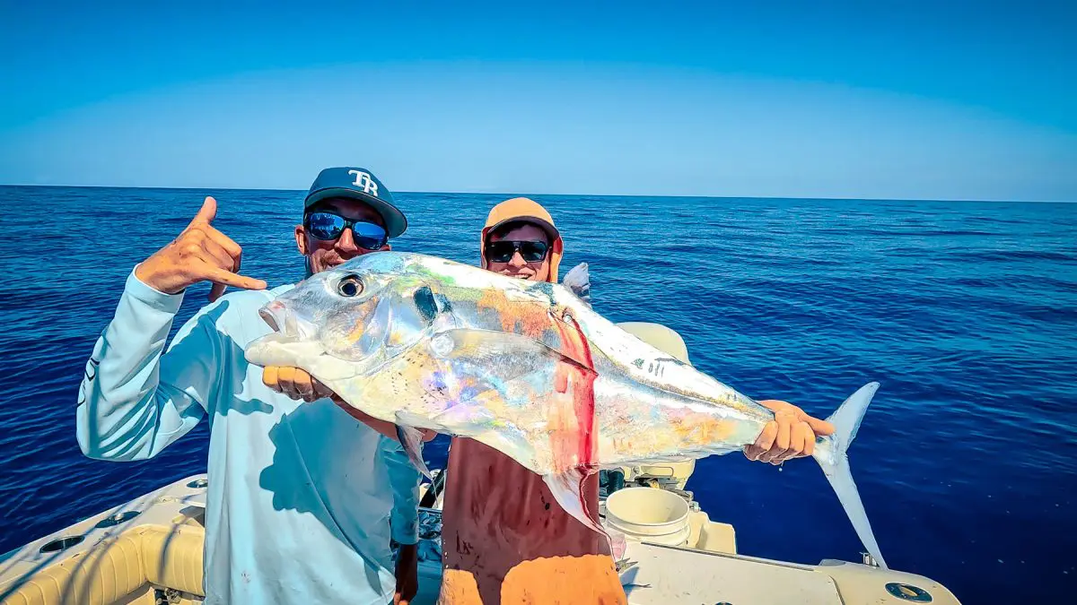Tampa Flórida Pesca Offshore Yellowtail Snapper Pompano Africano Carretel Lucky Charters 17