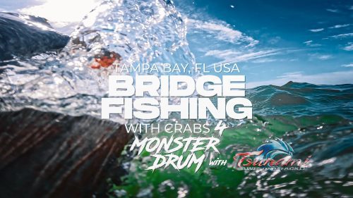 Tampa Florida Bridge Angeln mit Krabben für Monster Drum Salzwasserfischen Hog ​​Squad 05