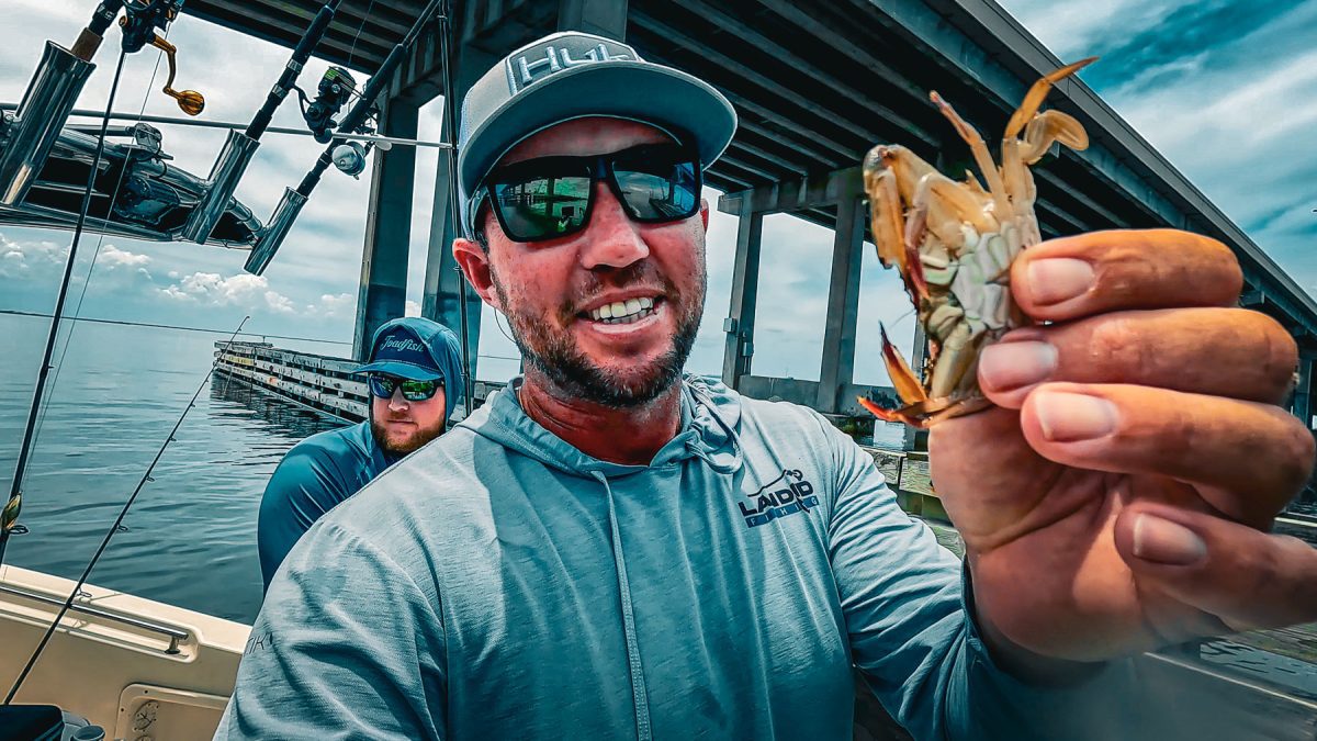Tampa Florida Bridge pêche avec des crabes pour Monster Drum pêche en eau salée hog squad 20