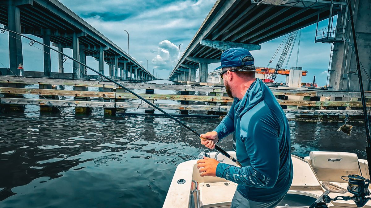 Tampa Florida Bridge pêche avec des crabes pour Monster Drum pêche en eau salée hog squad 37