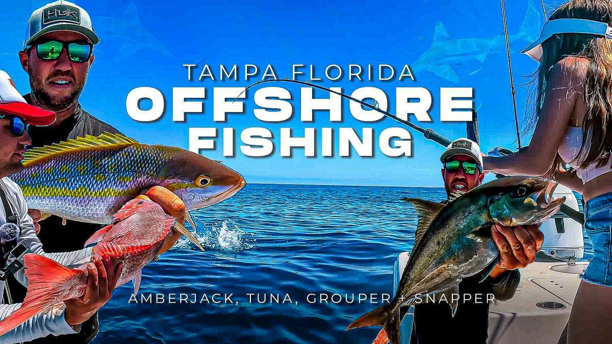 Pesca offshore em Tampa Florida Amberjack, atum, pargo, garoupa