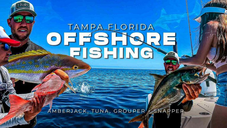 Pêche au large de Tampa en Floride avec Hog Squad Fishing