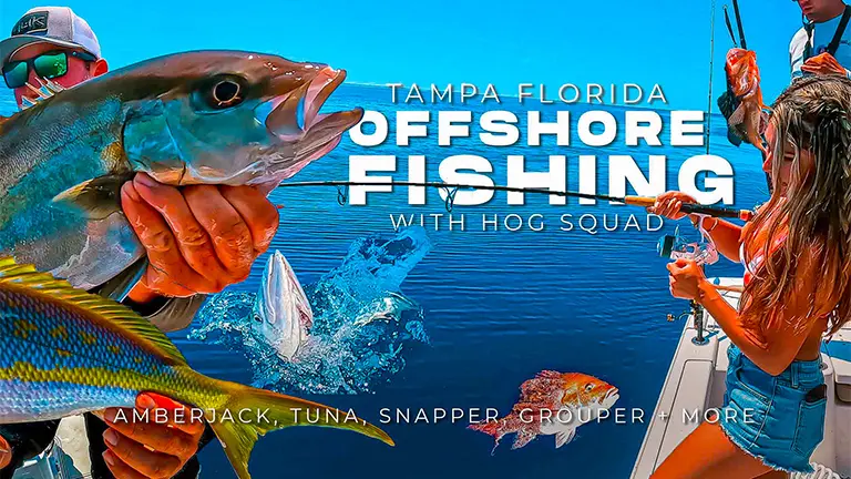 Câu cá xa bờ Tampa Florida, cá hổ phách, cá ngừ, cá hồng, cá mú