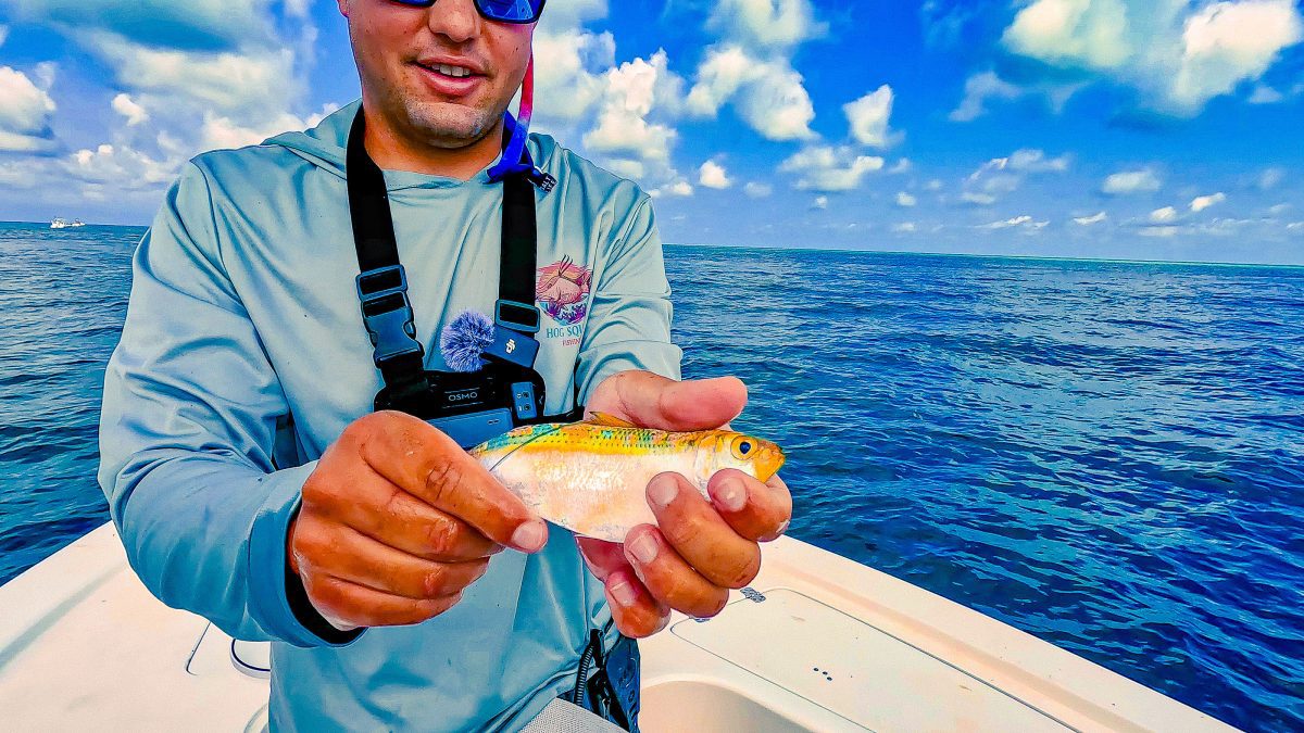 फ्लोरिडा टारपोन मछली पकड़ने अन्ना मारिया बीन प्वाइंट टारपोन पीस 92